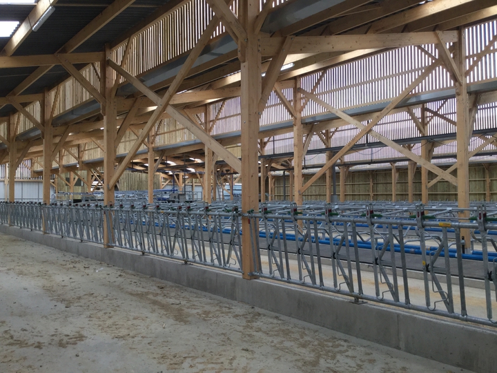 COMPLEXE LAITIER ERCE EN LAMEE