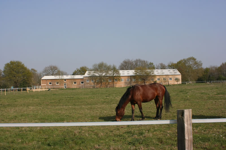 MANEGE - LES SORINIERES